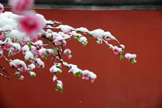 Ҽ������(EDF)���¹ٷ���վ