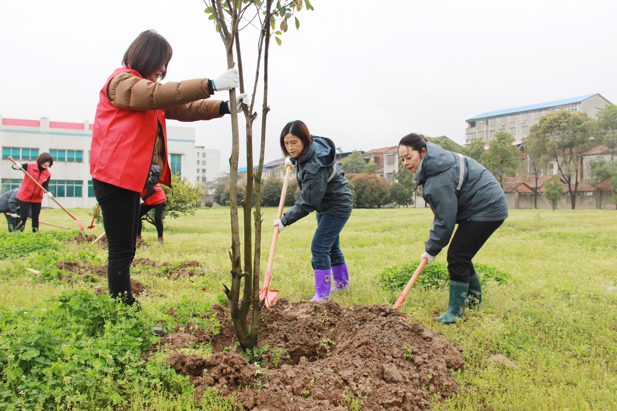 Ҽ������(EDF)���¹ٷ���վ