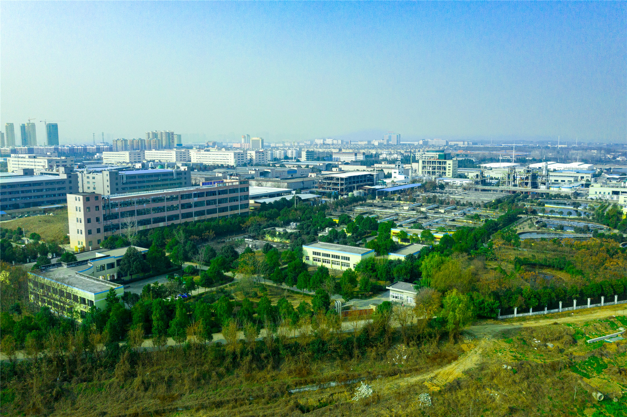 Ҽ������(EDF)���¹ٷ���վ