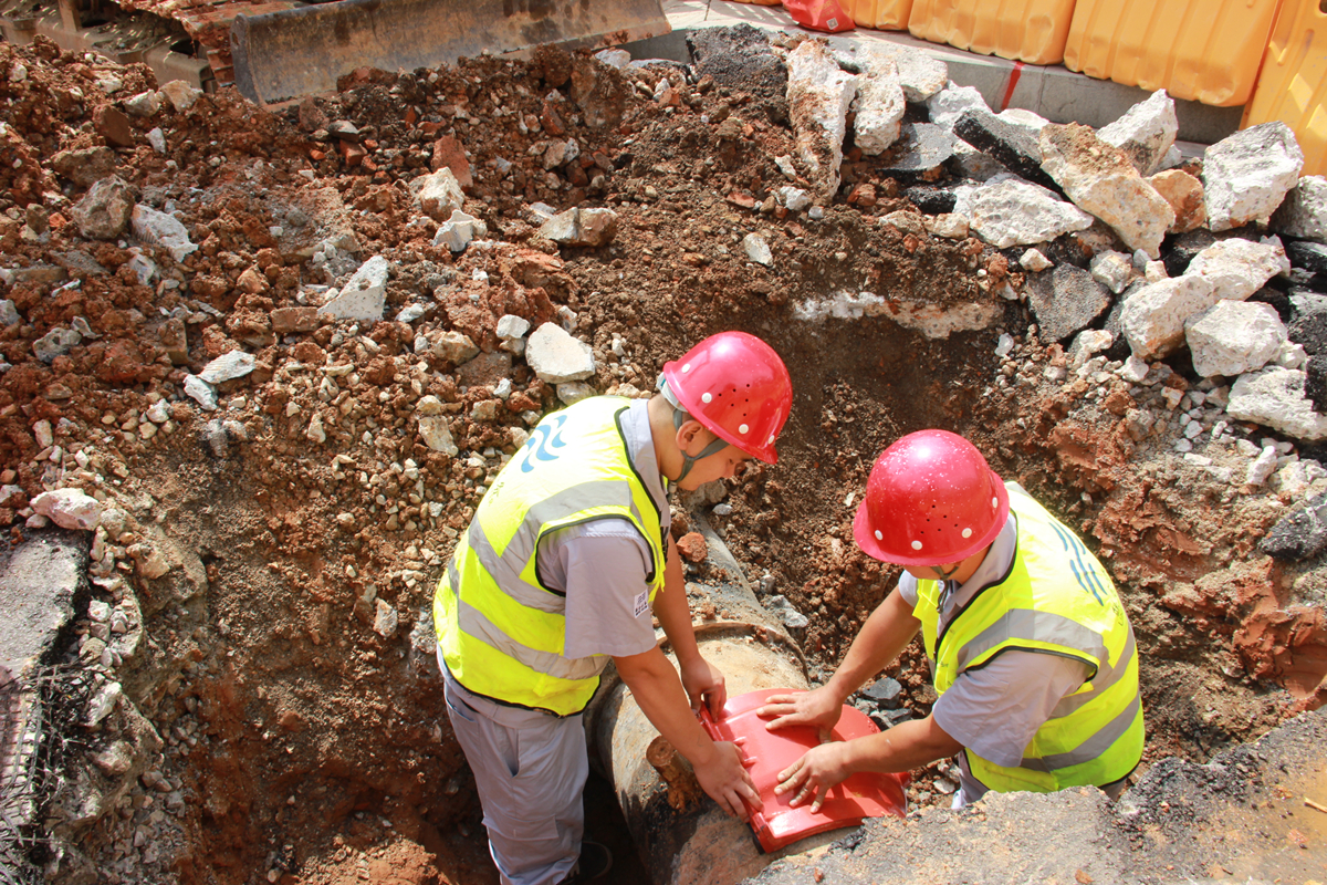 Ҽ������(EDF)���¹ٷ���վ