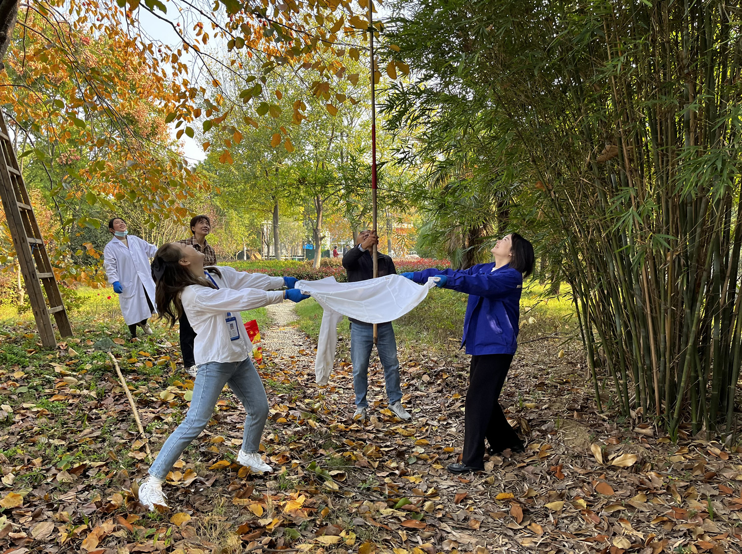 Ҽ������(EDF)���¹ٷ���վ