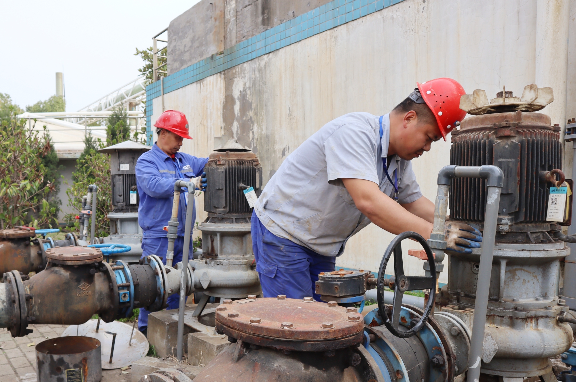 Ҽ������(EDF)���¹ٷ���վ