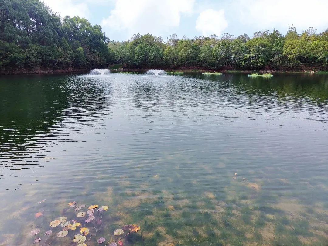 Ҽ������(EDF)���¹ٷ���վ