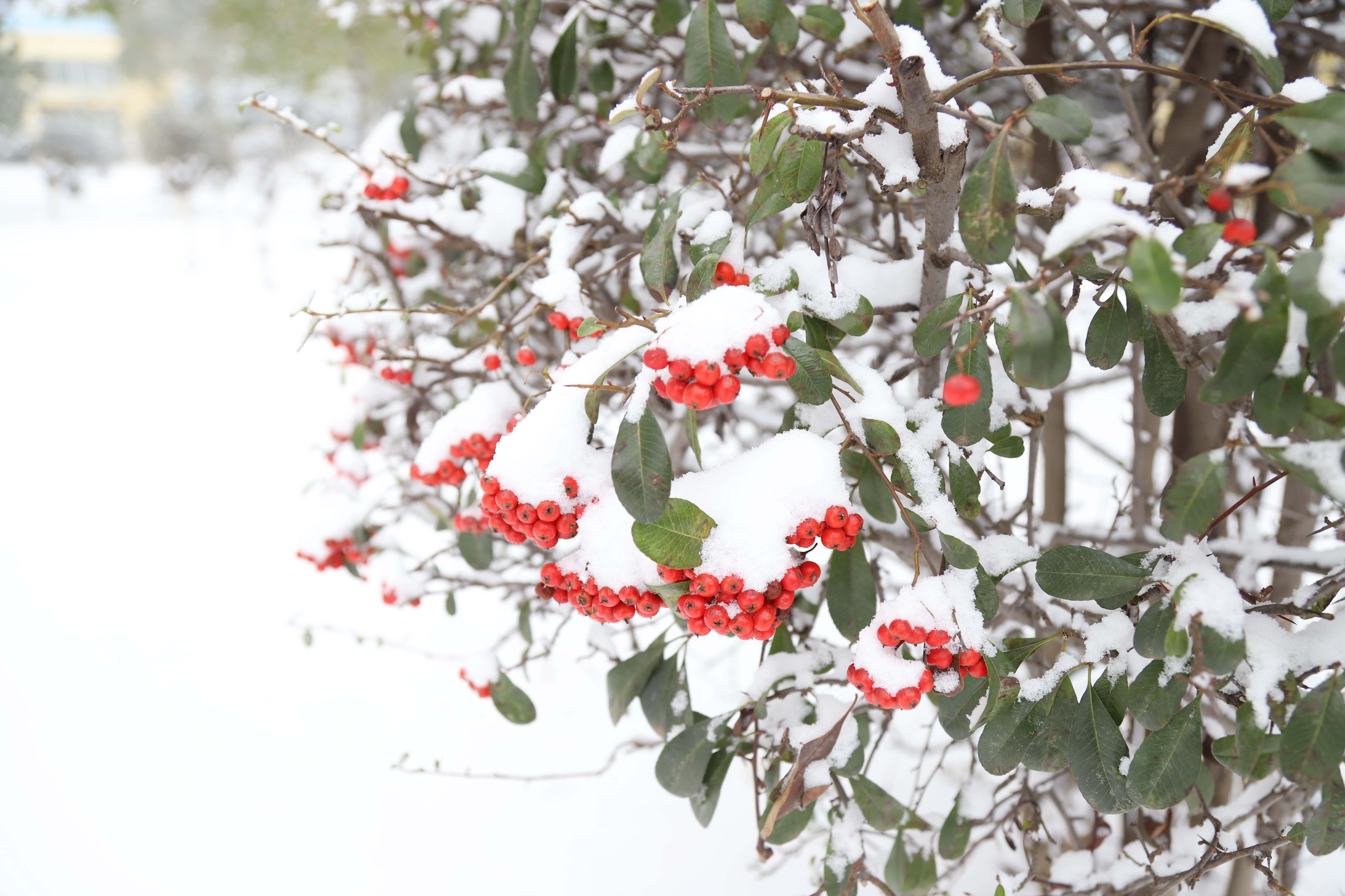 Ҽ������(EDF)���¹ٷ���վ