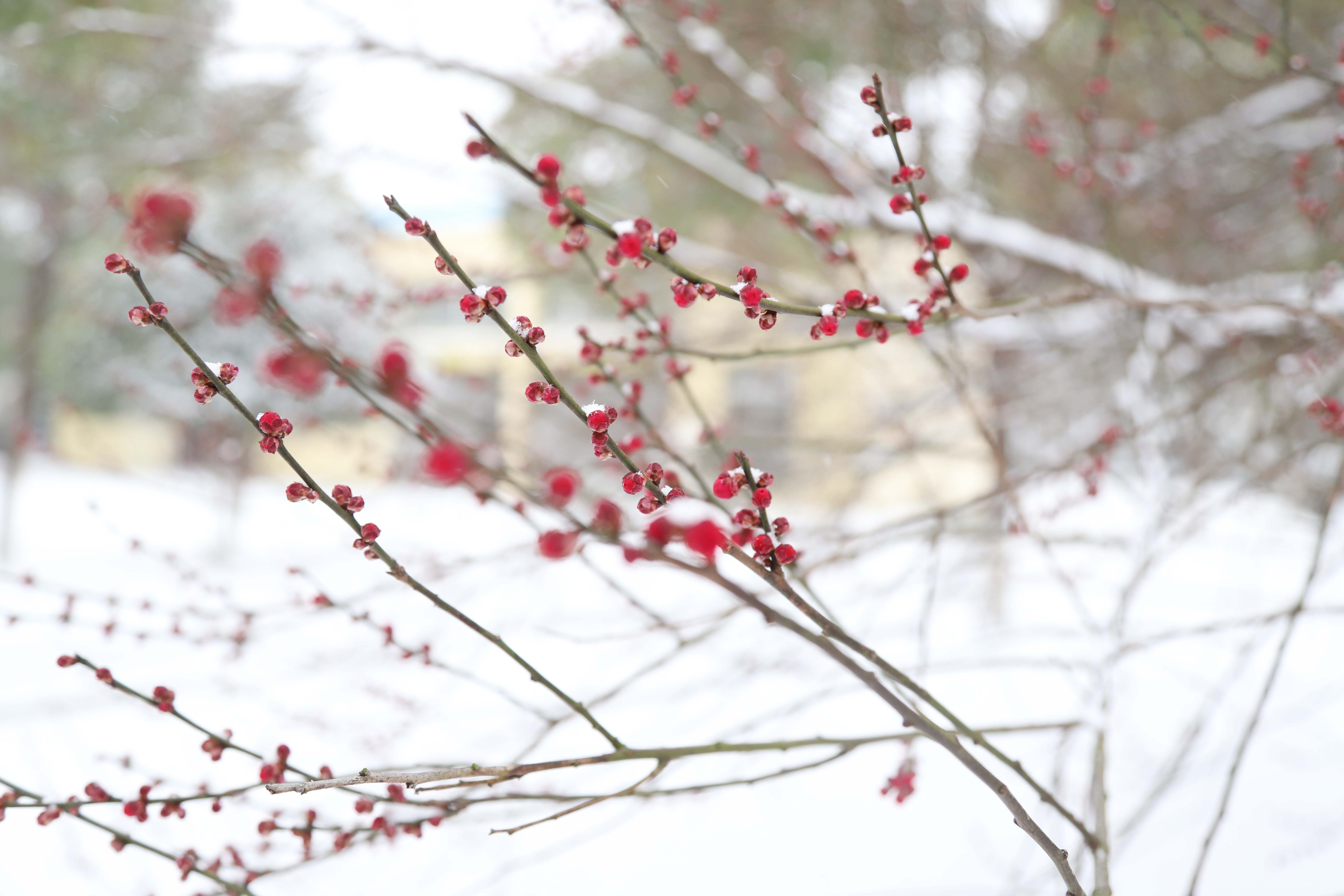 Ҽ������(EDF)���¹ٷ���վ