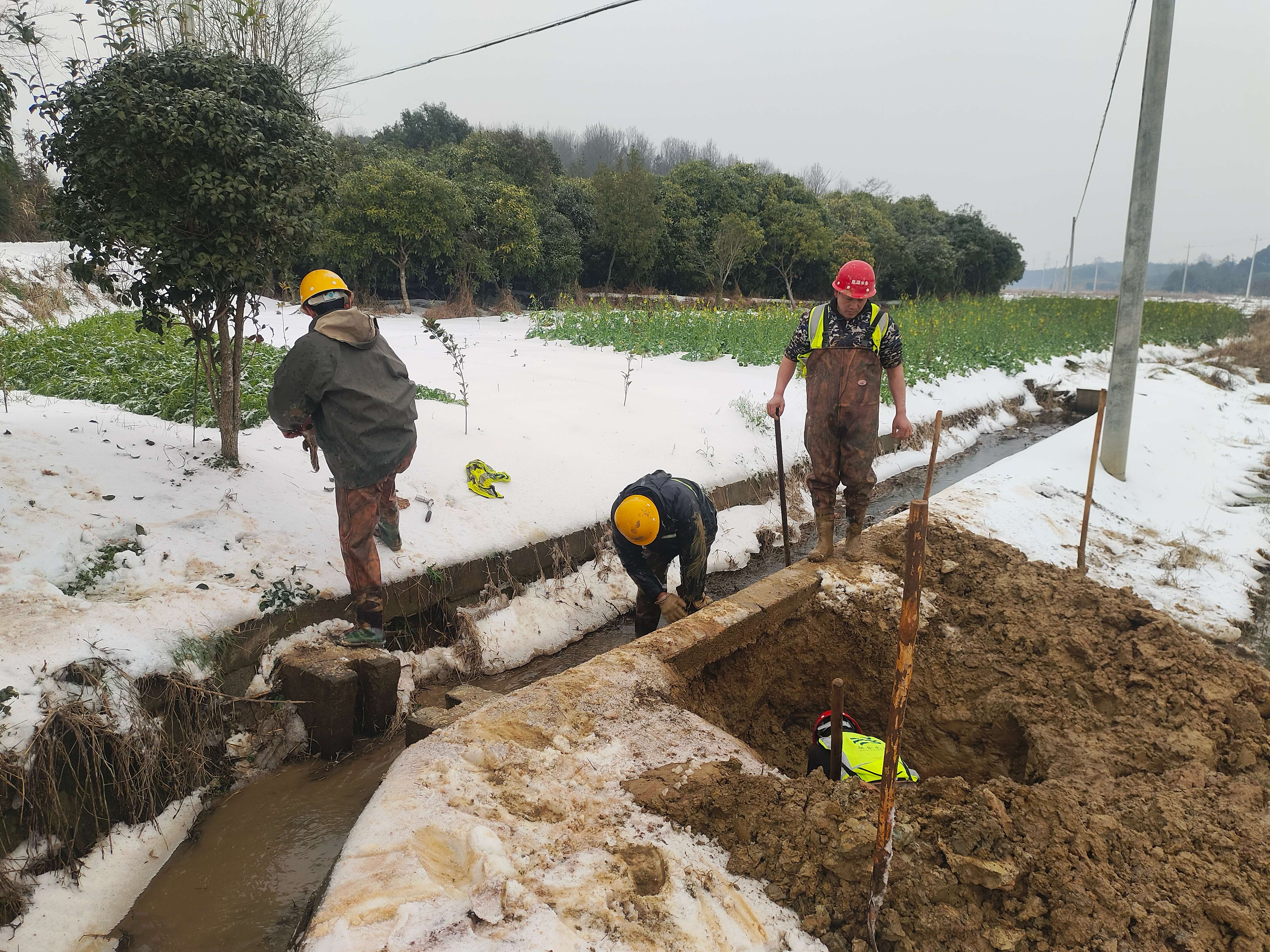 Ҽ������(EDF)���¹ٷ���վ