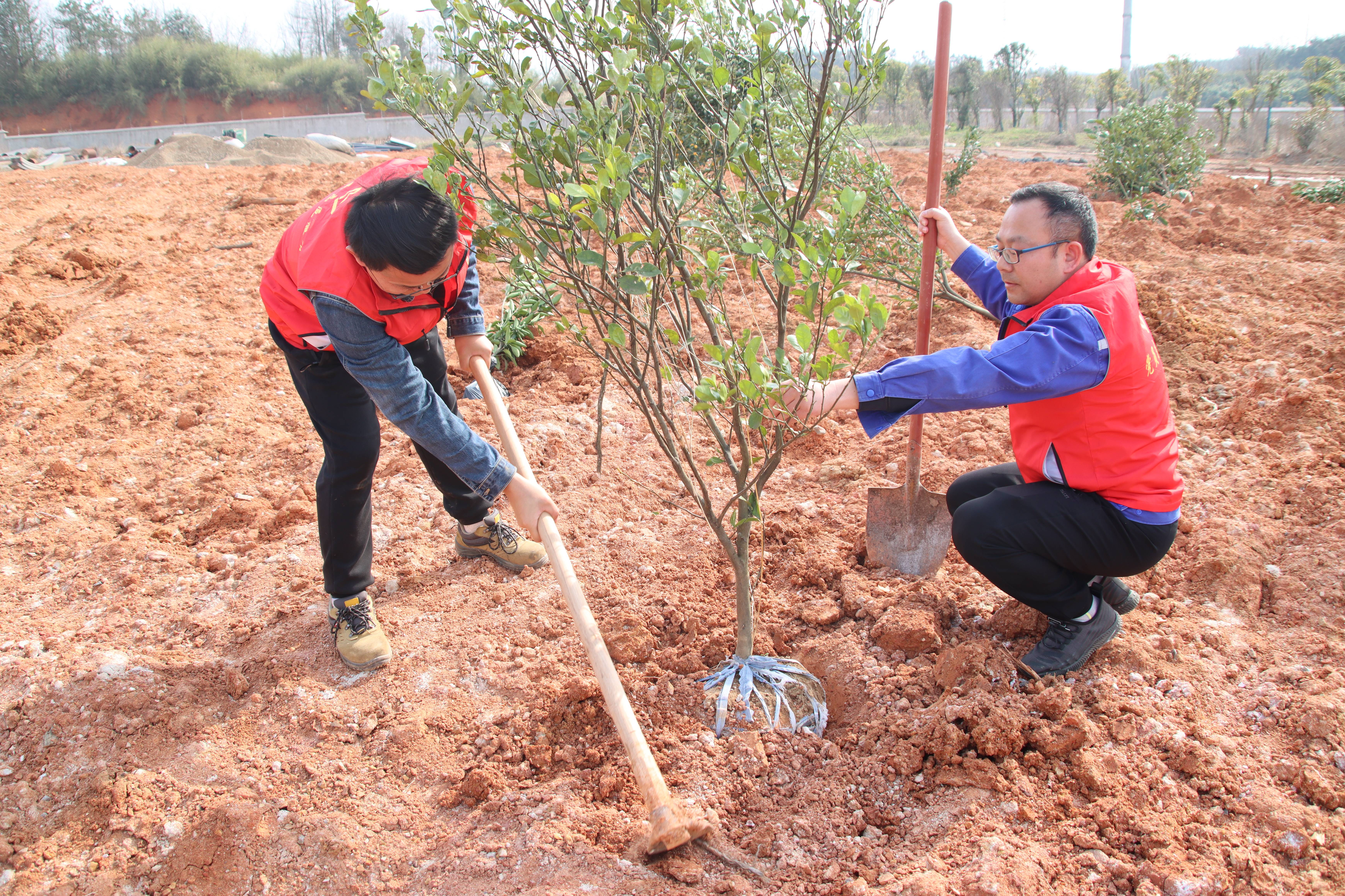 Ҽ������(EDF)���¹ٷ���վ