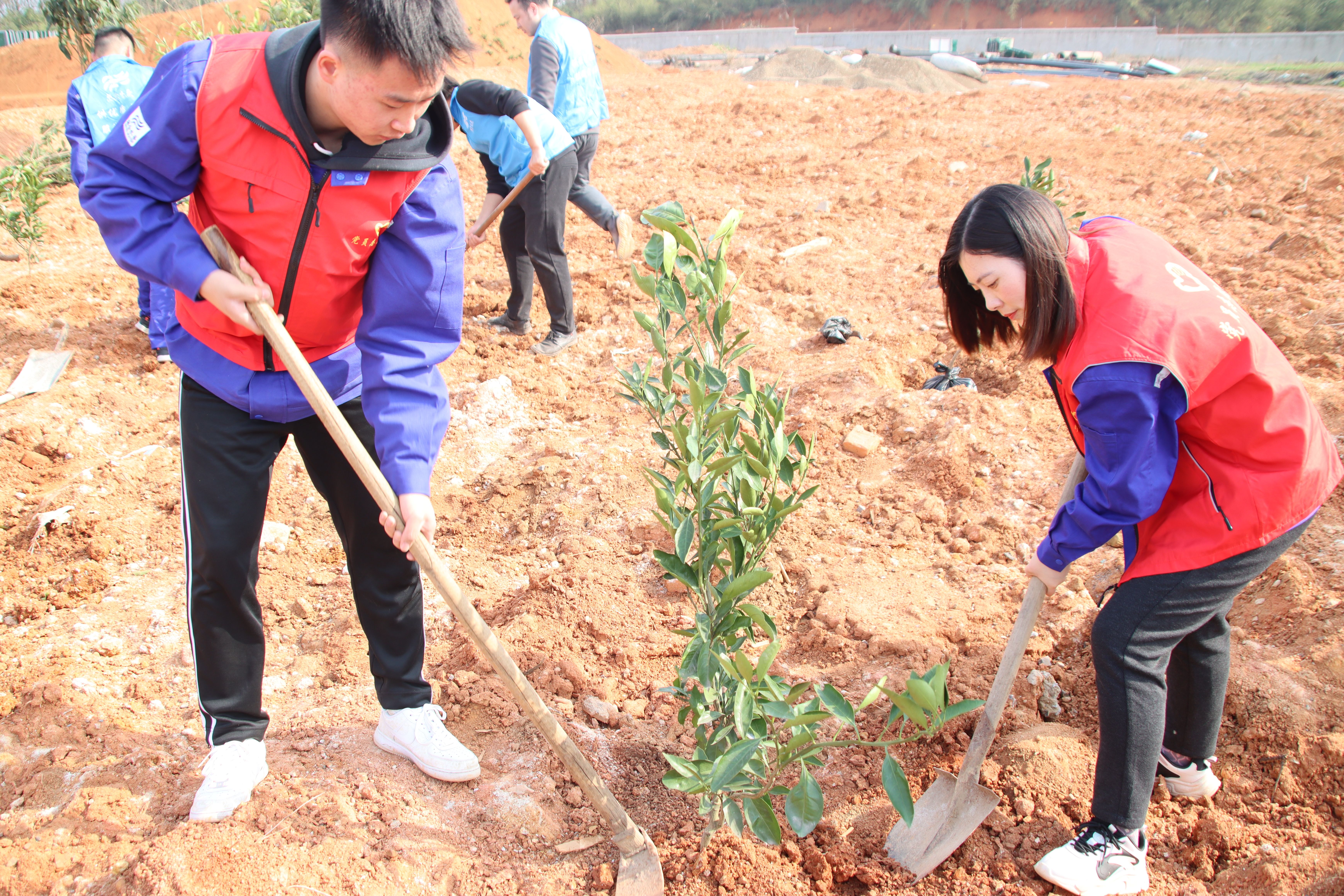 Ҽ������(EDF)���¹ٷ���վ