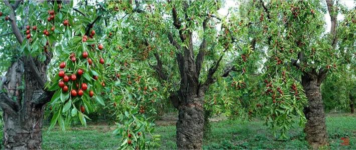 Ҽ������(EDF)���¹ٷ���վ