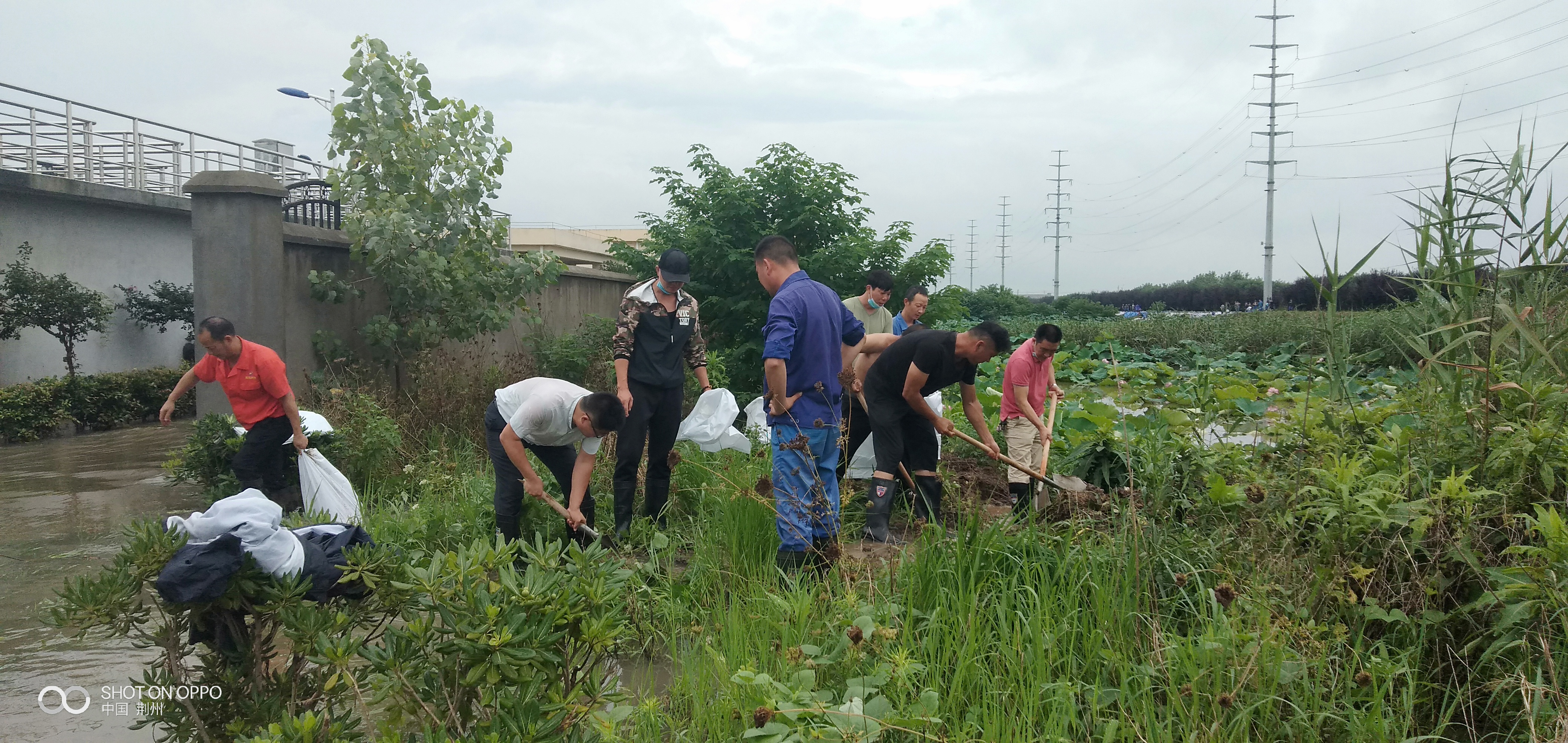 Ҽ������(EDF)���¹ٷ���վ